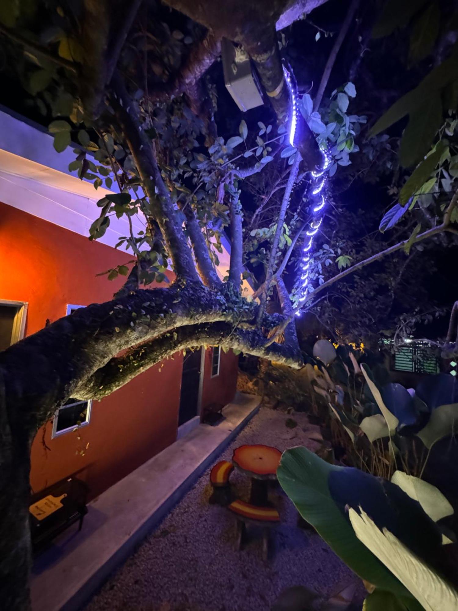 Roomstay Scandinavi At Bukit Mertajam Penang